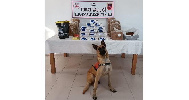 Tokat’ta tütün kaçakçılığı operasyonunda 2 şüpheli gözaltına alındı