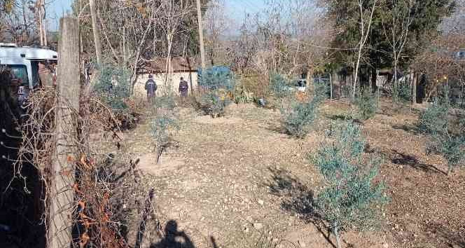 Ağaçta kalp krizi geçiren adam hayatını kaybetti