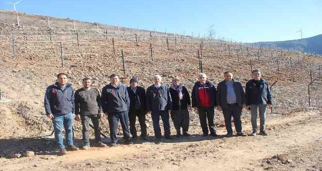 Bahçe’de telli terbiye sistemli üzüm bahçesi kuruldu