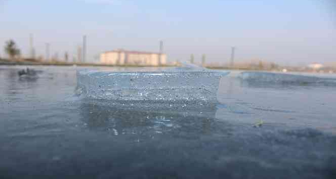 Iğdır Millet Bahçesi’ndeki havuz dondu