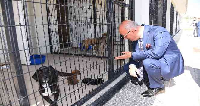 Salihli’deki rehabilitasyon merkezi “Can dostlara” şifa dağıtıyor