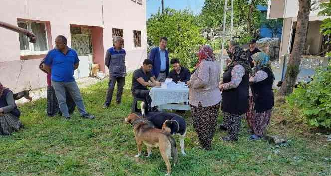 Zonguldak’ta 12 bin 655 evcil hayvana çip takıldı