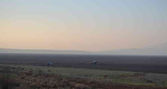 TİGEM, Marmara Gölü’nde buğday ve ayçiçeği yetiştirecek