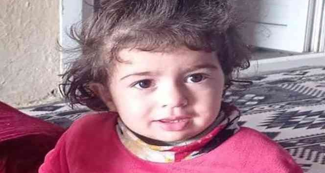 Mardin’de 15 aylık Hicran bebeği ezen tır sürücüsü tutuklandı