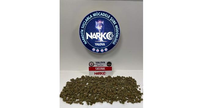 Yalova’daki uyuşturucu operasyonunda 1 tutuklama