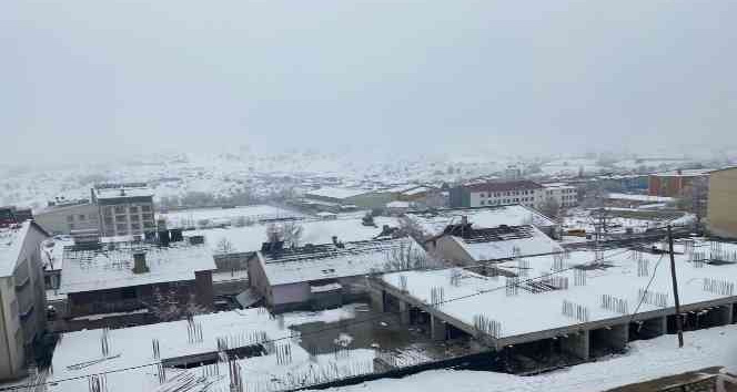 Hozat’ta kuduz karantinası