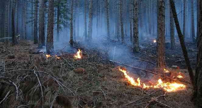 Kaz Dağları’ndaki örtü yangını kontrol altına alındı, 80 hektar alan zarar gördü