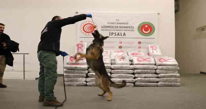 Yunanistan’dan Türkiye’ye giriş yapan tırda 603 kilo 500 gram skunk ele geçirildi