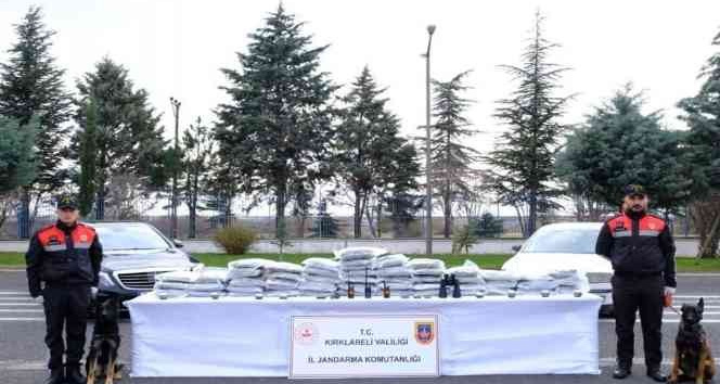 Kırklareli’nde bir yılda 2 milyon 878 bin 335 kök kenevir ele geçirildi