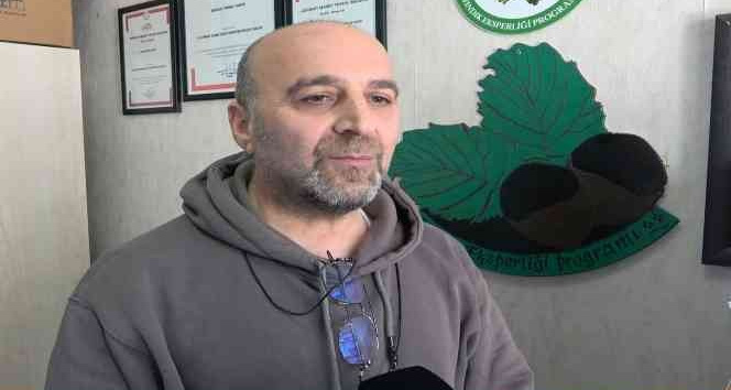 Fındıkta verim ve kaliteyi düşüren yanlış uygulamalar