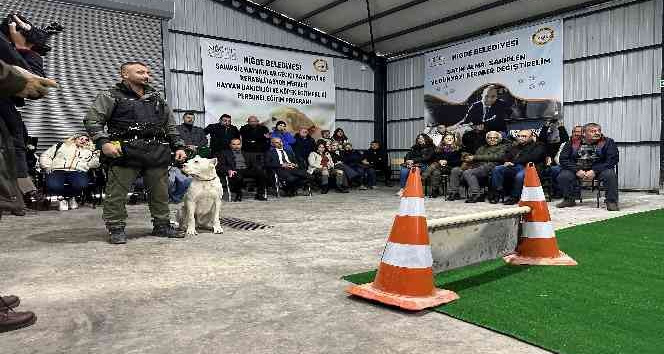 Yasaklı ırk köpeklere ve engelli köpeklere uyum eğitimi