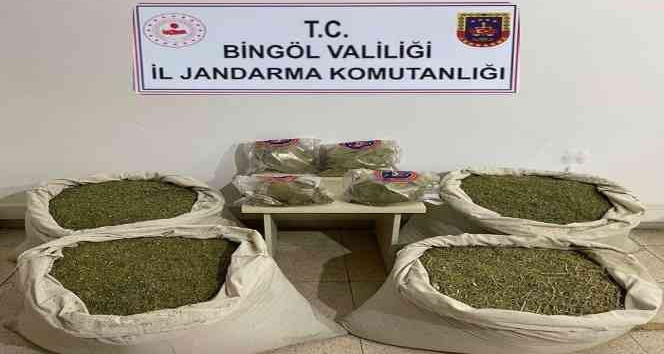 Bingöl’de Kökünü Kurutma Operasyonu: 145 kilo esrar ele geçirildi