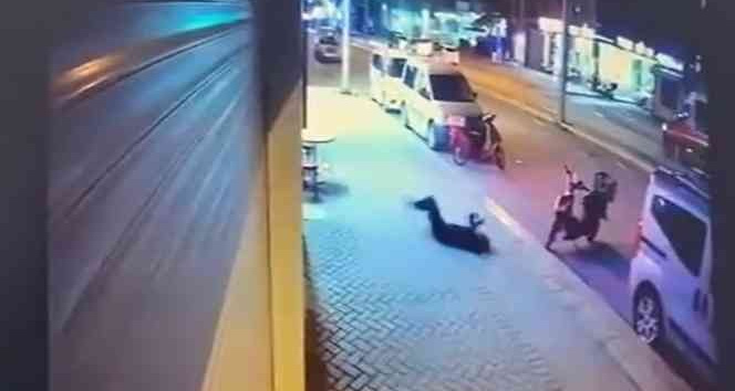 Pencereden düşerek hayatını kaybeden kadının sevgilisinin ifadeleri ortaya çıktı