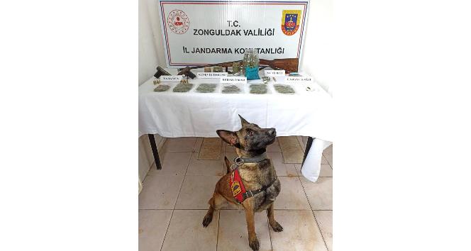 Jandarma zehir tacirlerine göz açtırmıyor