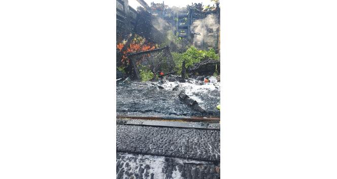 Sebze yüklü kamyon yandı