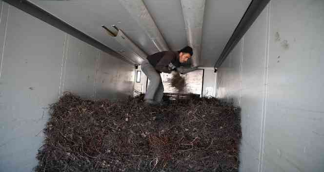 2023 yılının ilk fidan ihracatı Bulgaristan’a gerçekleşti