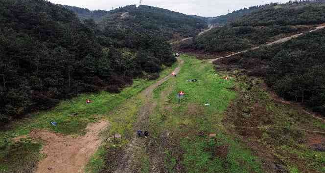 İstanbul’da kuruyan barajlarda domuz avı