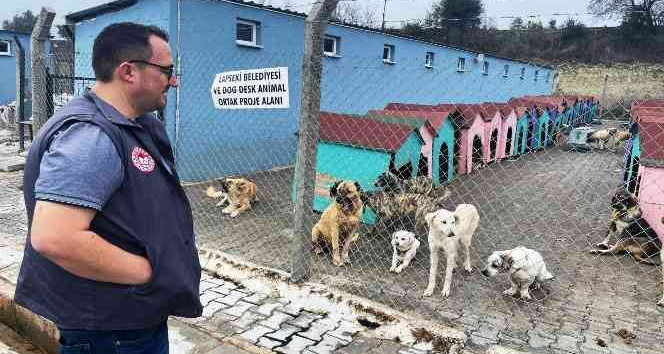 Lapseki’de hayvan barınağındaki sokak hayvanlarına kuduz aşısı yapıldı