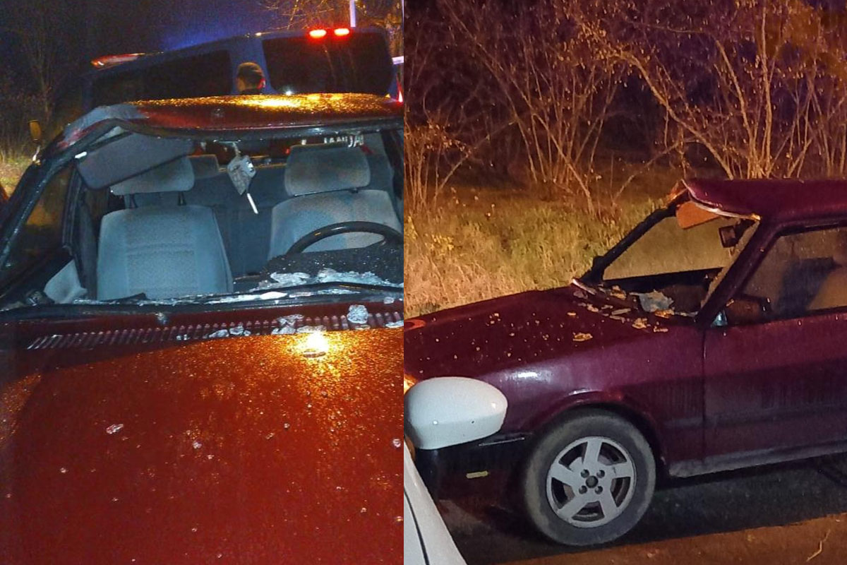 Karayoluna çıkan ineğe otomobil çarptı