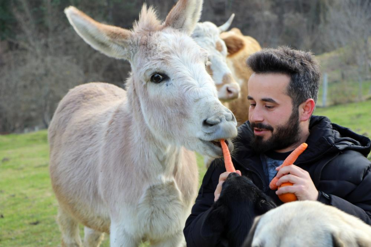 Eşekle arkadaşlığı herkesi kıskandırıyor