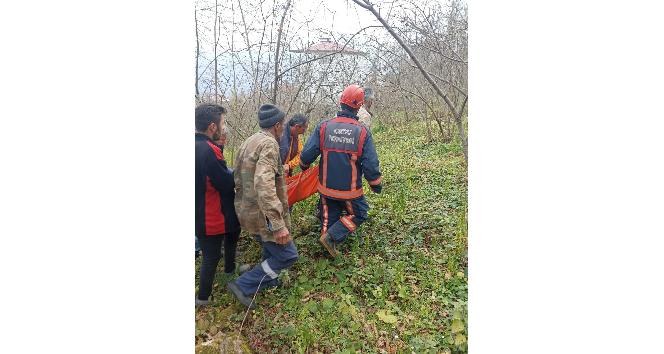 Kestikleri ağacın altında kaldılar