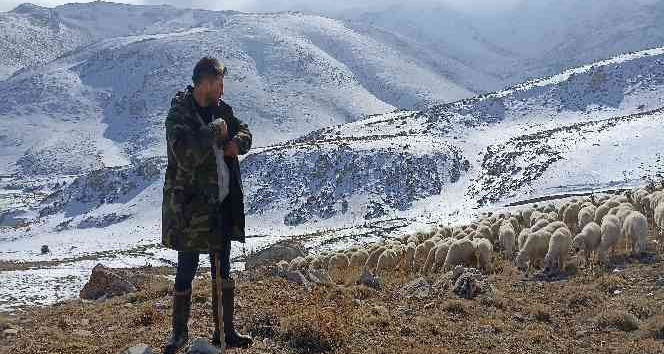Sivaslı çoban sosyal medyayı salladı