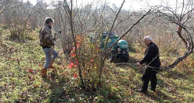 Fındık üreticilerinin kışlık bakım mesaisi