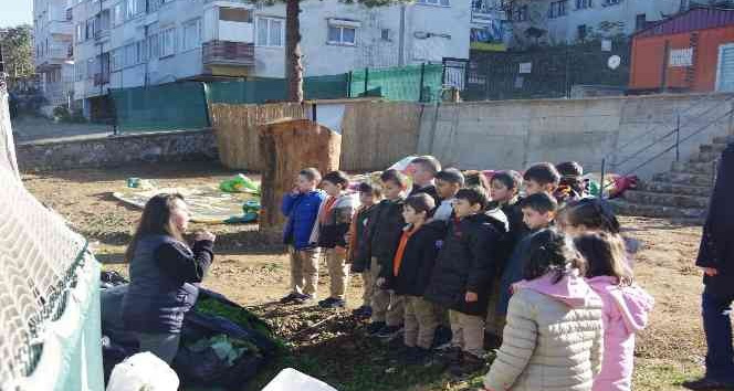 Yalova’da çocuklar doğayı eğlenerek öğreniyor