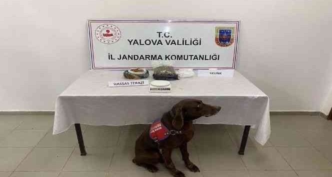 Yalova’da uyuşturucu operasyonu: 1 gözaltı