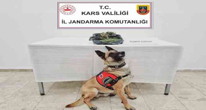 Jandarma’dan uyuşturucuya geçit yok