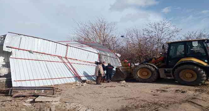 Şiddetli rüzgarlar sebebiyle ağıl çöktü