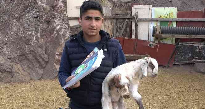 MEB projesi ile 17 yaşındaki çoban yeniden okullu oldu