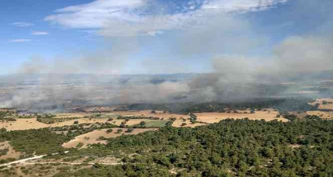 Bayramiç Orman İşletme Müdürlüğü’nden orman yangını uyarısı