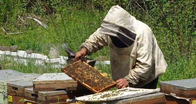 Ordu’dan 2022 yılında 773 ton bal ihraç edildi