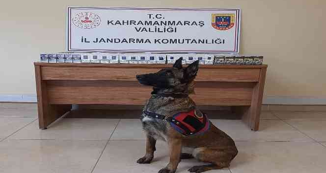 Kahramanmaraş’ta kaçakçılıkla mücadele
