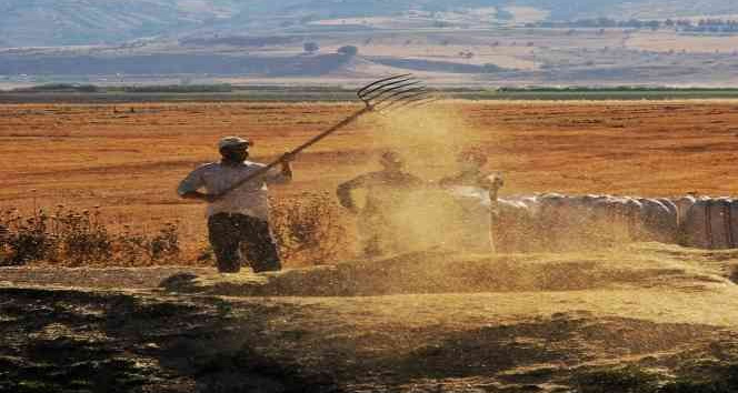 Tarımsal girdi fiyat endeksi bir yılda yüzde 112,41 arttı