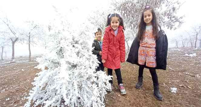 Bitlis’te kırağı tutan ağaçlar kartpostallık görüntü oluşturdu