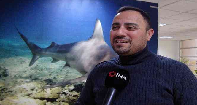 Koruma altındaki köpekbalığı, kıyıya yakın görüntülendi