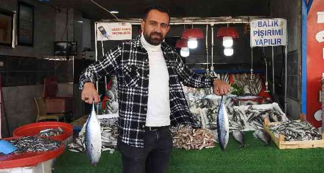 Kebap diyarı Kilis’te balık dönemi