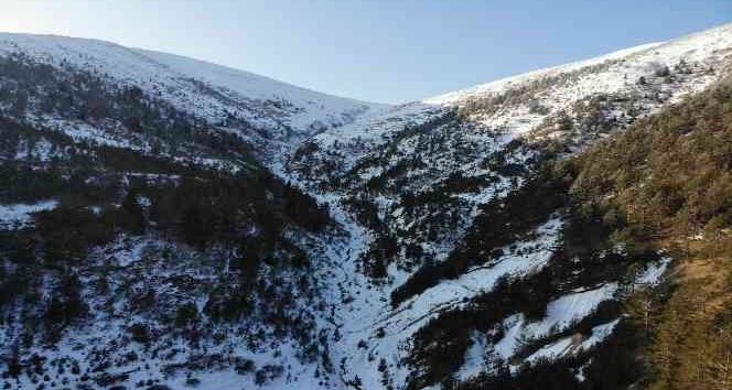 Zigana’da yaşanan çığ felaketinin 14. yılında Zigana Dağı karsız kaldı