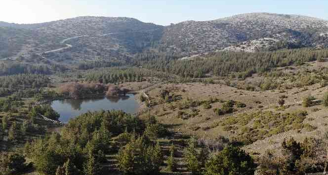 Geçen yıl karla kaplanan Spil, bu yıl aynı gün kara hasret kaldı