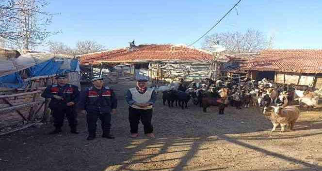 Burdur’da kaybolan 70 küçükbaş hayvan, jandarma ekipleri tarafından bulundu
