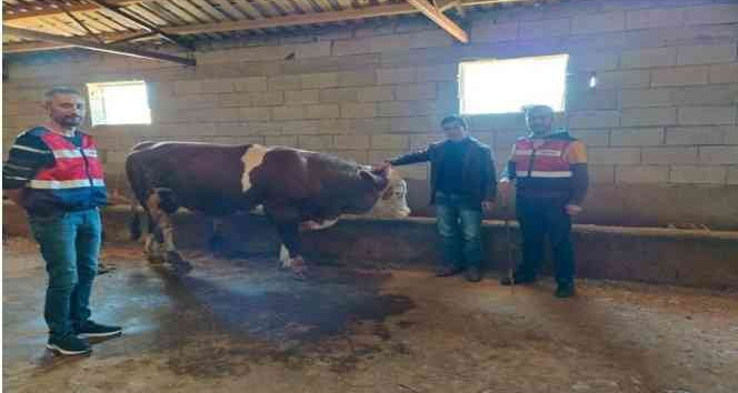 Iğdır JASAT’tan büyük başarı: 111 olay aydınlatıldı