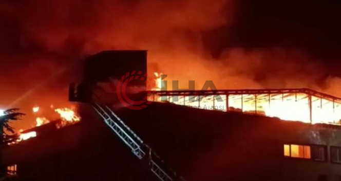 Pendikte cam ve plastik fabrikasında yangın: Alevler geceyi aydınlattı