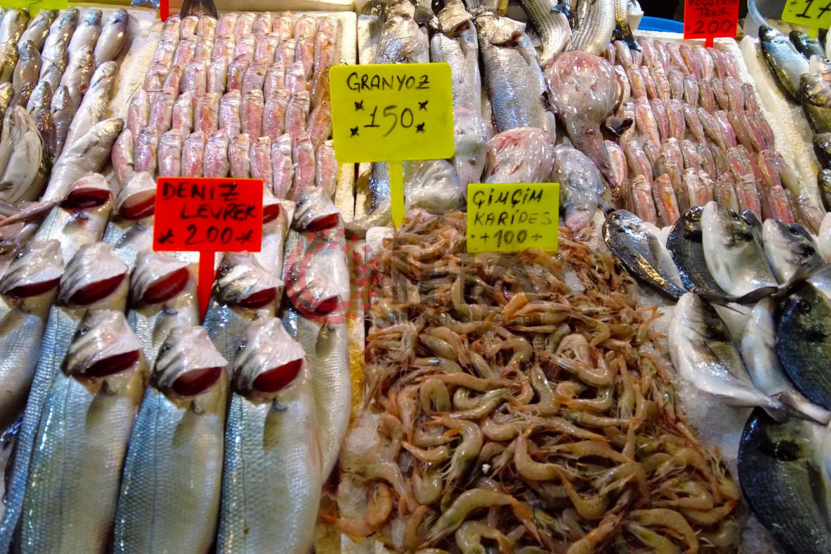 İzmir Foça tezgahlarında levrek bolluğu