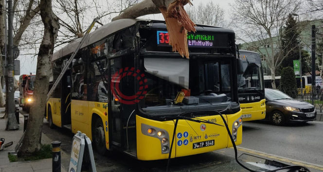 Fatihte facianın eşiğinden dönüldü: İçinde yolcuların bulunduğu İETT otobüsü ağaca çarptı