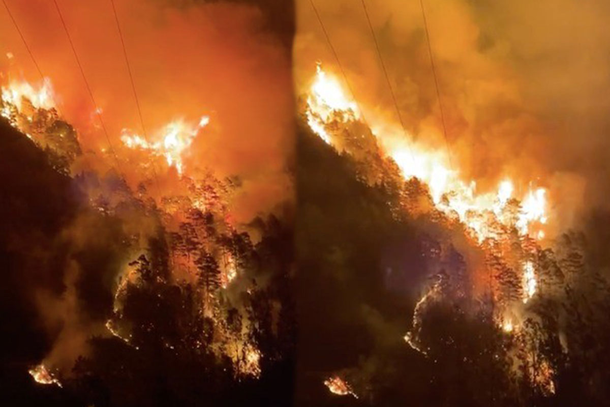 Alanya&#039;da orman yangını