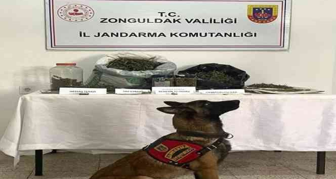 Ereğli’de uyuşturucu operasyonu:1 gözaltı