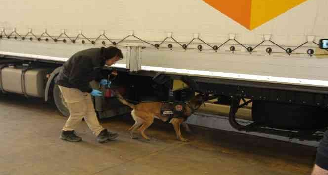 Edirne’deki uyuşturucu operasyonlarında 22 şüpheli gözaltına alındı