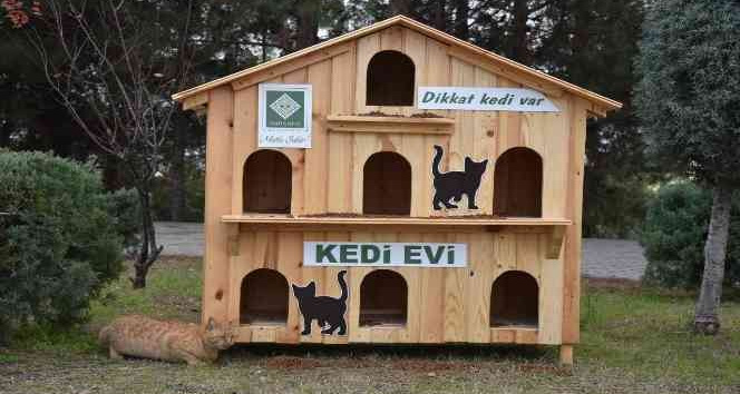 Osmaniye Belediyesinin kedi evleri "can dostlara" yuva oldu